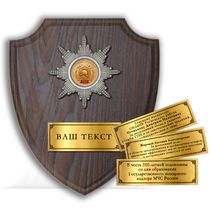 Наградная плакетка «100 лет ГПН МЧС России»