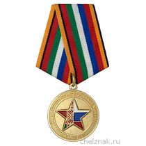 Медаль МО РФ «Совместное стратегическое учение Запад-2017»