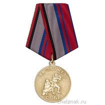 Медаль «За службу в СОБР, РОСГВАРДИЯ» с бланком удостоверения