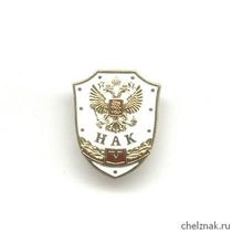 Знак «5 лет НАК России»