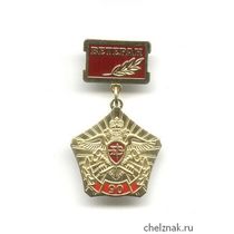 Знак «90 лет криптографической службе России. Ветеран.»