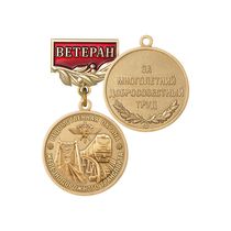 Медаль «Ветеран ведомственной охраны железнодорожного транспорта России» с бланком удостоверения