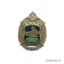 Знак «РТВ ВВС России»