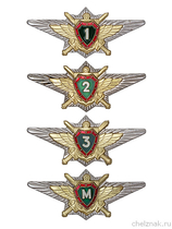 Знак классности ПУ ФСБ