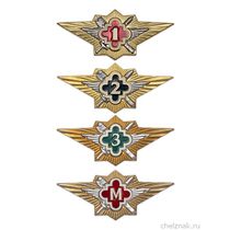 Знак классности ФСИН