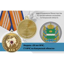 Медаль «30 лет ГУ МЧС России по Калужской области» с бланком удостоверения