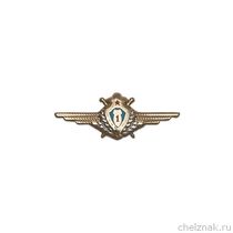 Фрачный знак «30 лет 1-му выпуску Ворошиловградскому ВВАУШ»