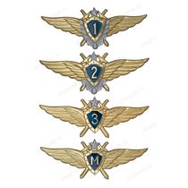 Знак классности ВВС нового образца