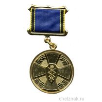 Медаль Службы специальной связи и информации при ФСО РФ "За отличие в труде"