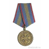 Медаль «За укрепление уголовно-исполнительной системы»