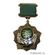 Нагрудный знак «Отличник социально-трудовой сферы»