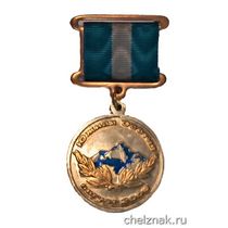Знак отличия «За участие в противодействии агрессии в Южной Осетии»