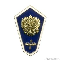 Знак «Об окончании авиационного ССУЗа» с накладным гербом