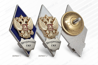 Нагрудный знак (ромб) «Об окончании Мичуринского государственного аграрного университета»