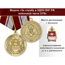 Медаль «За службу в ОДОН ВНГ РФ. Войсковая часть 3179» с бланком удостоверения