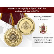 Медаль «За службу в ПривО ВНГ РФ. Войсковая часть 3671» с бланком удостоверения