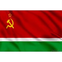 Флаг Литовской Советской Социалистической Республики