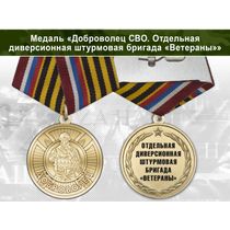 Медаль «Доброволец СВО из отдельной диверсионной штурмовой бригады "Ветераны"» с удостоверением
