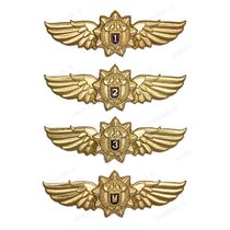 Знак классности ФСО