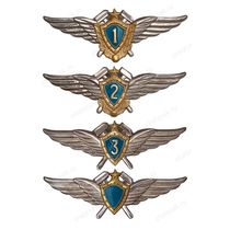 Знак классности ВКС (технический специалист)