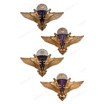 Знак классности ВДВ