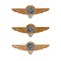 Знак классности ГВФ: штурман