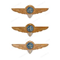 Знак классности ГВФ: пилот