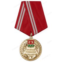 Медаль «Почетный гражданин Тюкалинского района Омской области» с бланком удостоверения