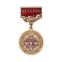 Знак «Ветеран специальных подразделений ФПС МЧС РФ» с бланком удостоверения