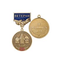 Нагрудный знак «Ветеран технической инвентаризации России (БТИ)» с бланком удостоверения
