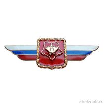 Должностной знак командующего войсками Центрального военного округ №13