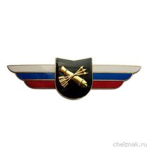 Должностной знак командира учебной воинской части и другого воинского формирования (ПВО) №45