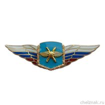 Должностной знак командующего армией и ей равного объединения (ВКС) №47