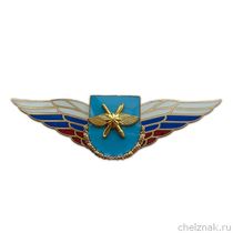 Должностной знак командира бригады и ей равного соединения (ВКС) №49
