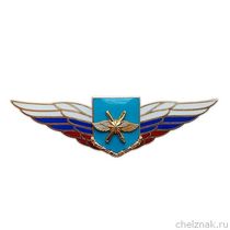 Должностной знак командира полка и ему равной воинской части (ВКС) №50