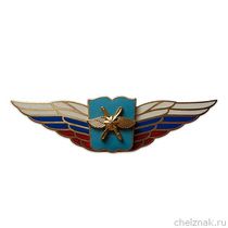 Должностной знак начальника высшего ВУ, проф. и общеобразовательной организации (ВКС) №53