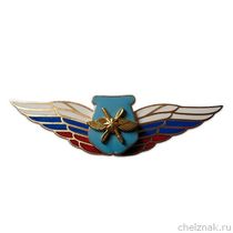 Должностной знак начальника воинского формирования, ведущего научную деятельность (ВКС) №55