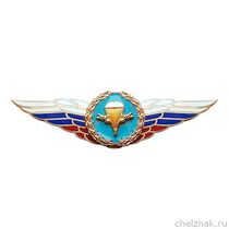 Должностной знак командующего Воздушно-десантными войсками №79