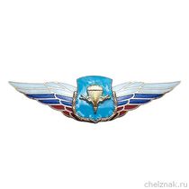 Должностной знак командира дивизии и ей равного соединения (ВДВ) №80