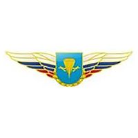 Должностной знак командира бригады и ей равного соединения (ВДВ) №81