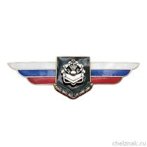 Должностной знак командира полка и ему равной воинской части (Инженерные войска) №110