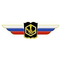 Должностной знак начальника военной академии (РХБЗ) №120