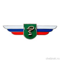 Должностной знак командира медицинского отряда (Военно-медицинская служба) №128