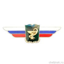 Должностной знак начальника военной академии (Военно-медицинская служба) №129