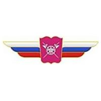 Должностной знак начальника высшего ВУ, проф. и общеобразовательной организации (МТО ВС) №136