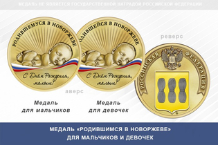 Медаль «Родившимся в Новоржеве»