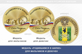 Медаль «Родившимся в Шилке»