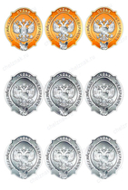 Знак квалификационного класса судей
