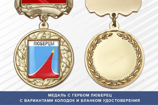 Медаль с гербом Московской области с бланком удостоверения
