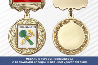 Медаль с гербом города Новозыбкова Брянской области с бланком удостоверения
